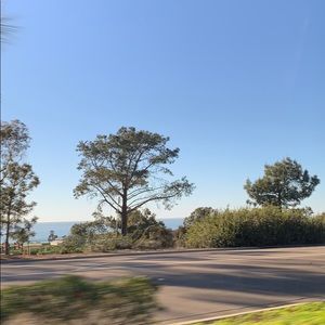 Meet your Posher, Carter